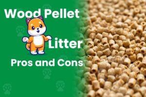 Read more about the article Wood Pellet Cat Litter Pros and Cons: Is It Worth the Switch in 2026?
