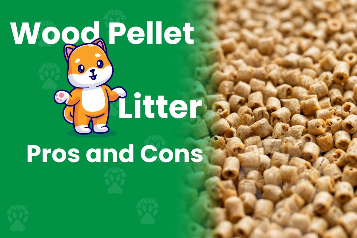 Read more about the article Wood Pellet Cat Litter Pros and Cons: Is It Worth the Switch in 2026?