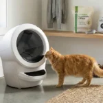 Are Self-Cleaning Litter Boxes Worth It