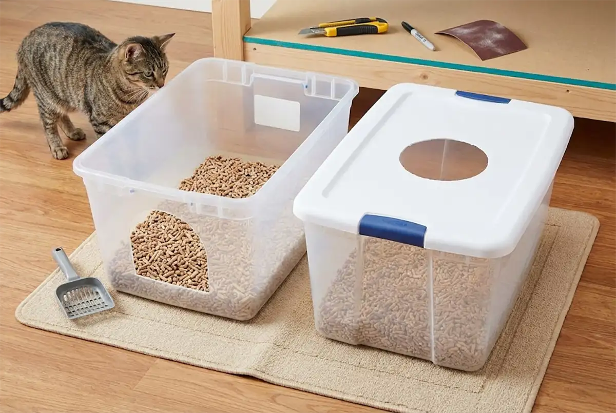Read more about the article Do It Yourself Cat Litter Box: How to Make One Better Than Store-Bought